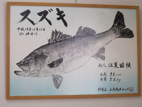 院長は大の釣り好きです。これは熊本で釣ったスズキの魚拓です。